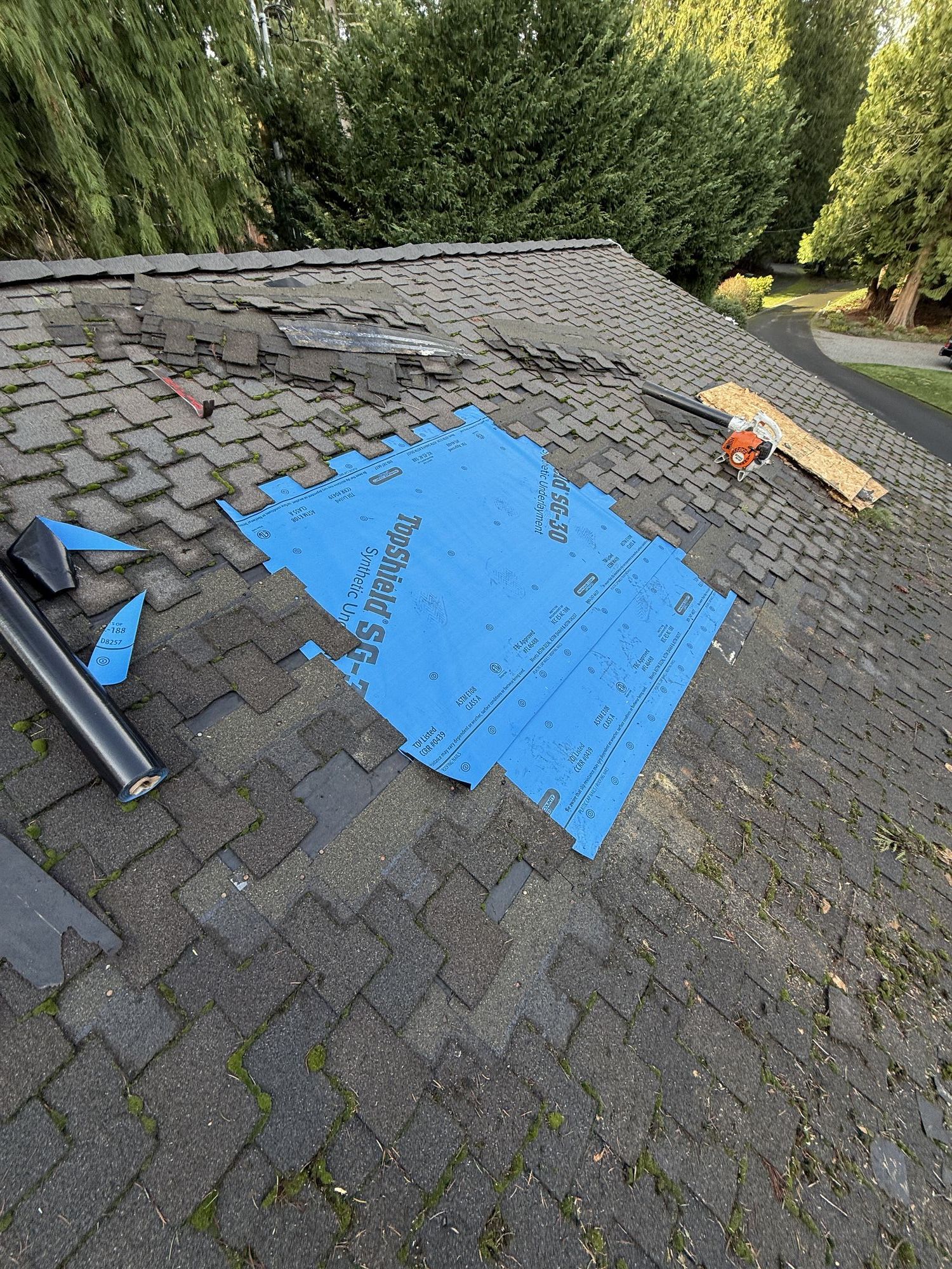 Blitz Roofing LLC roof repair in progress in Lynnwood, WA — shingles torn back exposing synthetic underlayment