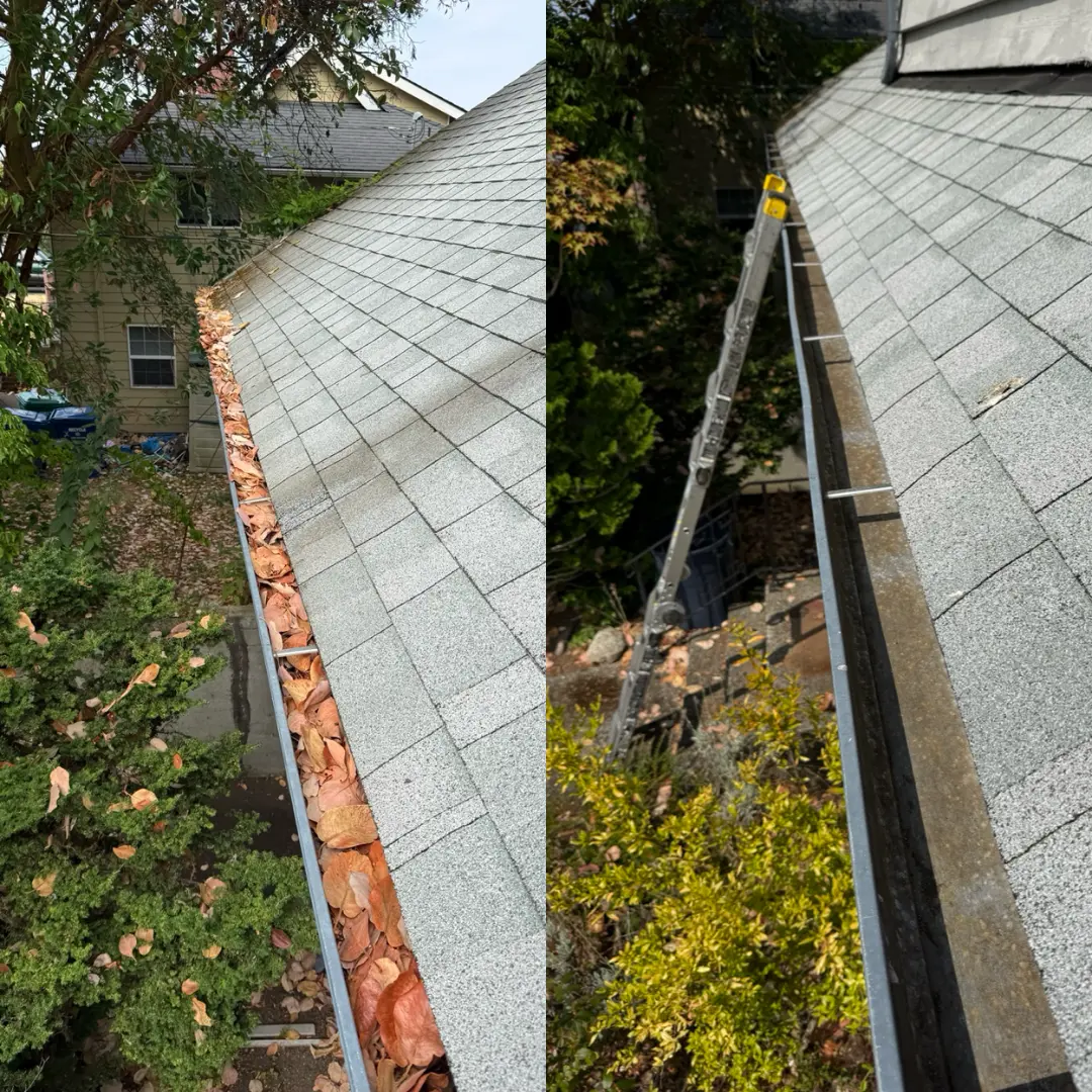 Roof maintenance before and after gutter cleaning